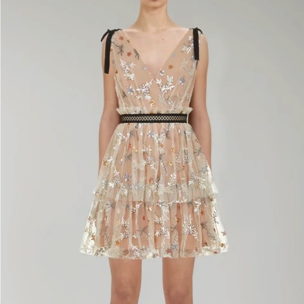 Self portrait star mesh embroidered dress